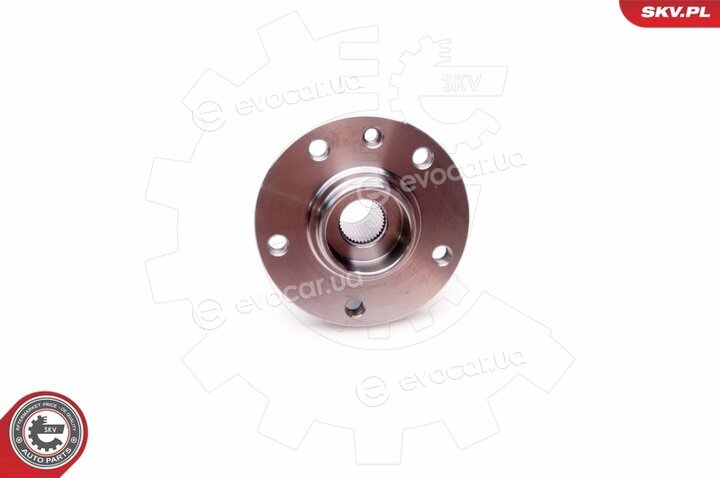 SKV 29SKV024