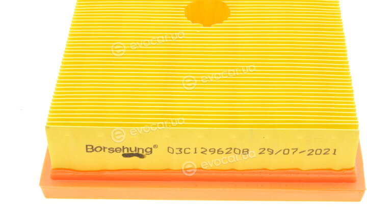 Borsehung B10542
