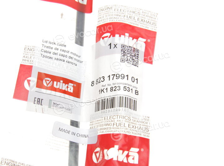 Vika 88231799101
