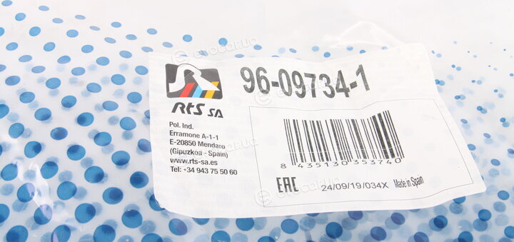 RTS 96-09734-1