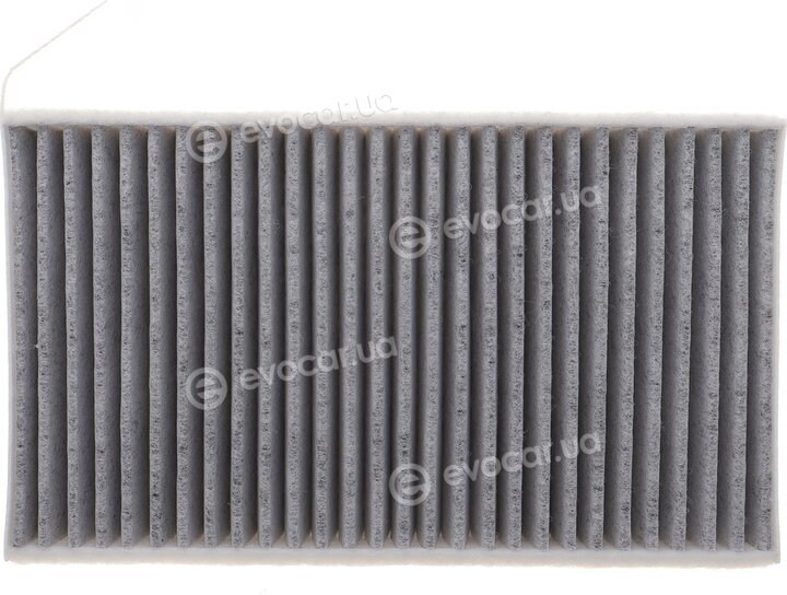Solgy 104157