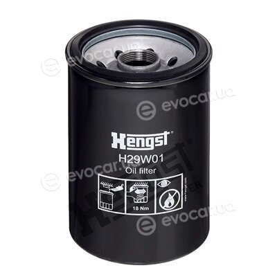 Hengst H29W01