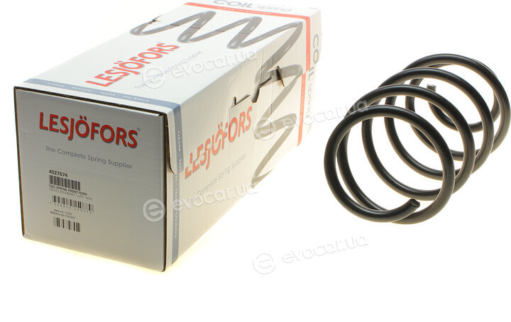 Lesjofors 4027674