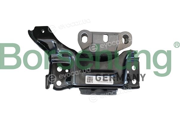 Borsehung B10986
