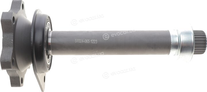 AIC 57024