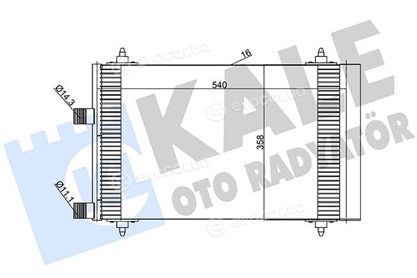 Kale 385600