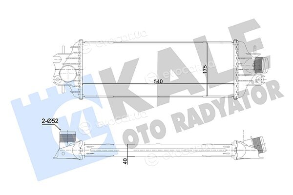 Kale 350775