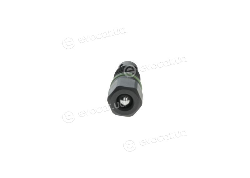 Bosch F 01M 101 502