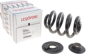 Lesjofors 4295069
