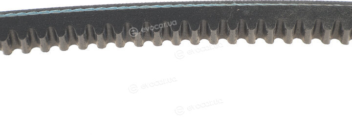 Hutchinson AV 13 La 875