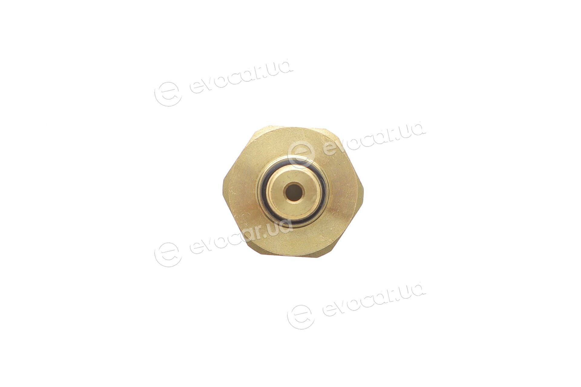 AIC 75555