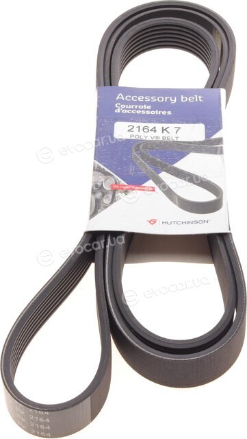 Hutchinson 2164 K 7