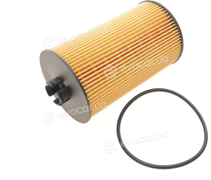Solgy 101005