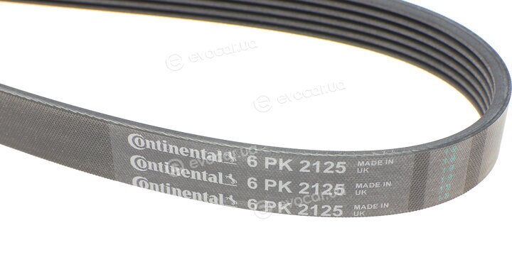 Continental 6PK2125