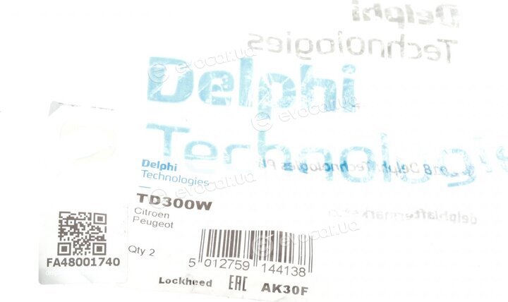 Delphi TD300W