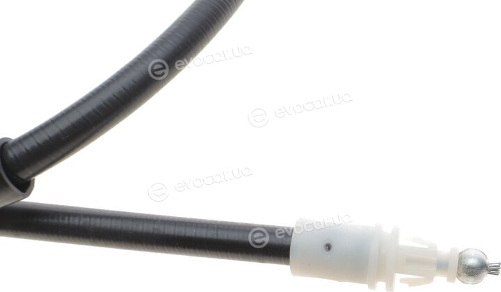 Solgy 219064