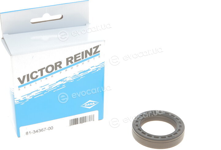 Victor Reinz 81-34367-00