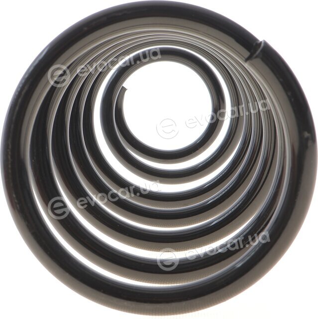 Solgy 212141