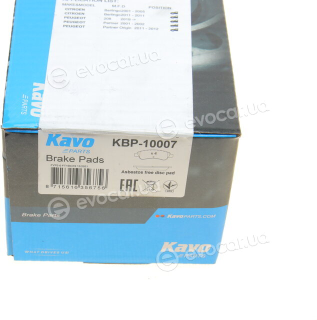 Kavo KBP-10007