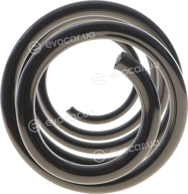 Solgy 212156