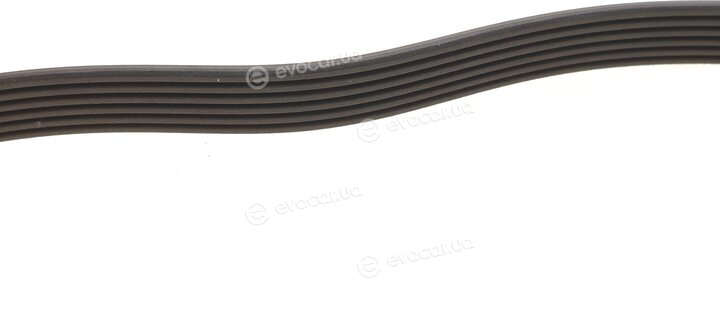 Dayco 6PK1090