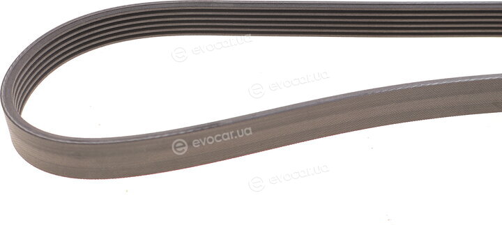 Continental 6PK1660K5