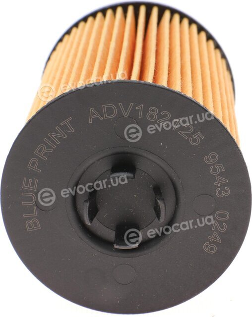 Blue Print ADV182125