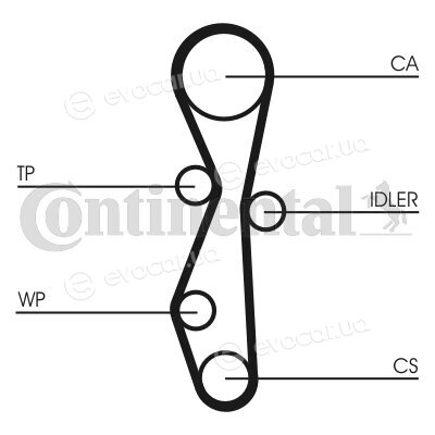 Continental CT1091K1