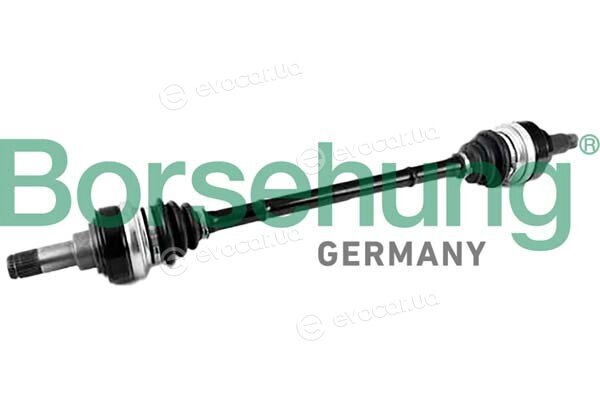 Borsehung B12489