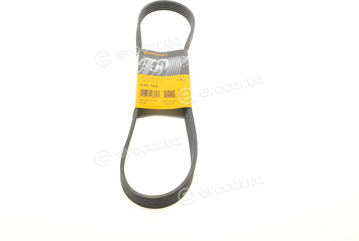 Continental 6PK1010