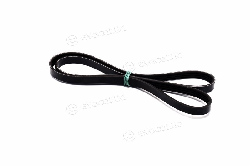 Dayco 4PK1170