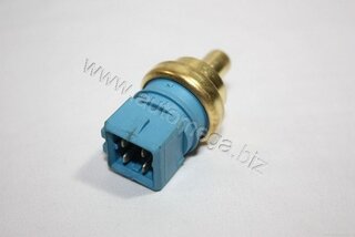 Automega / Dello 309190501059