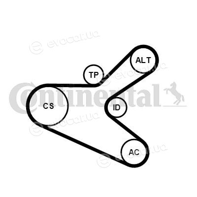 Continental 6PK1153K2