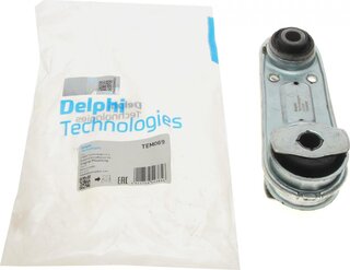 Delphi TEM069