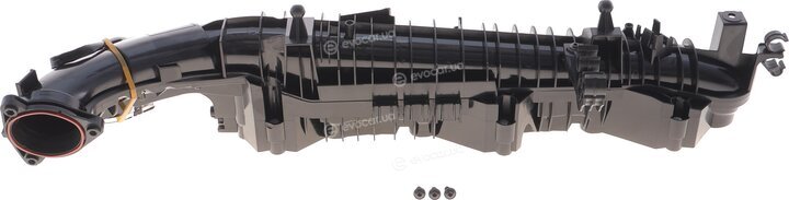 Solgy 114285