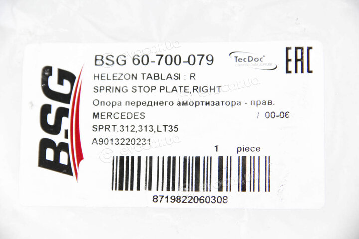 BSG BSG 60-700-079