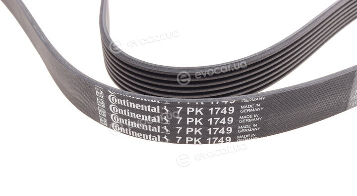Continental 7PK1749