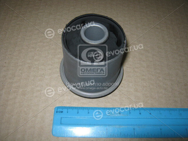 CTR GV0493