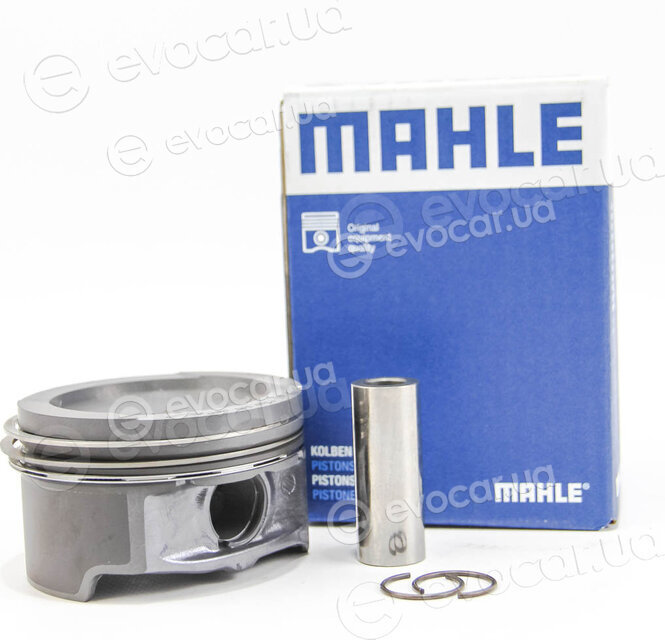 Mahle 030 60 13