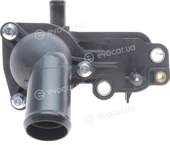 AIC 55638