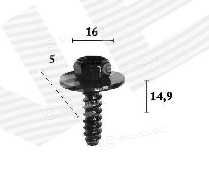 Signeda T70351(10)