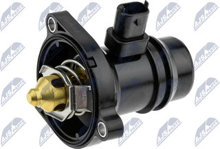 NTY CTM-PL-025