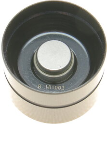 Borsehung B16920