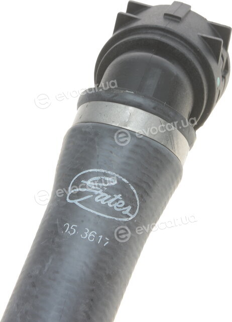 Gates 05-3617