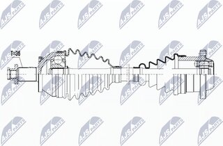 NTY NPW-VW-095