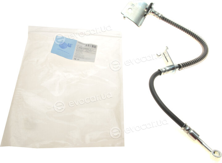 Blue Print ADBP530029