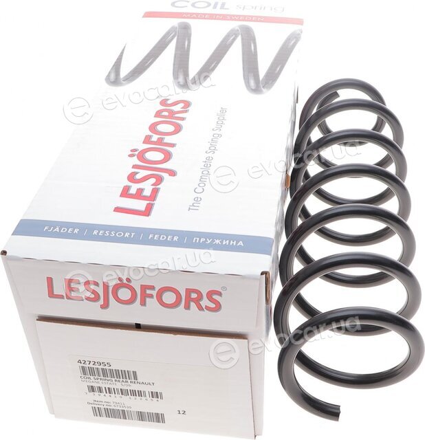 Lesjofors 4272955