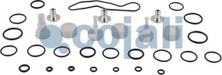 Cojali 6014064