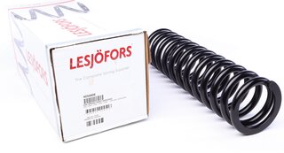 Lesjofors 4056808