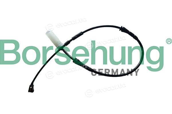 Borsehung B13173